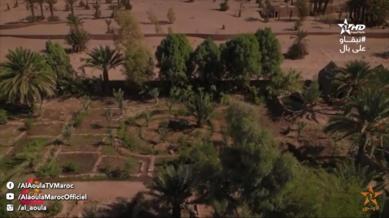 Chez Madani Hotel M'Hamid Bagian luar foto