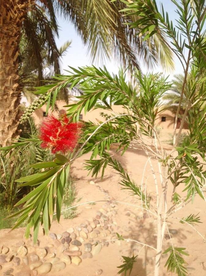 Chez Madani Hotel M'Hamid Bagian luar foto