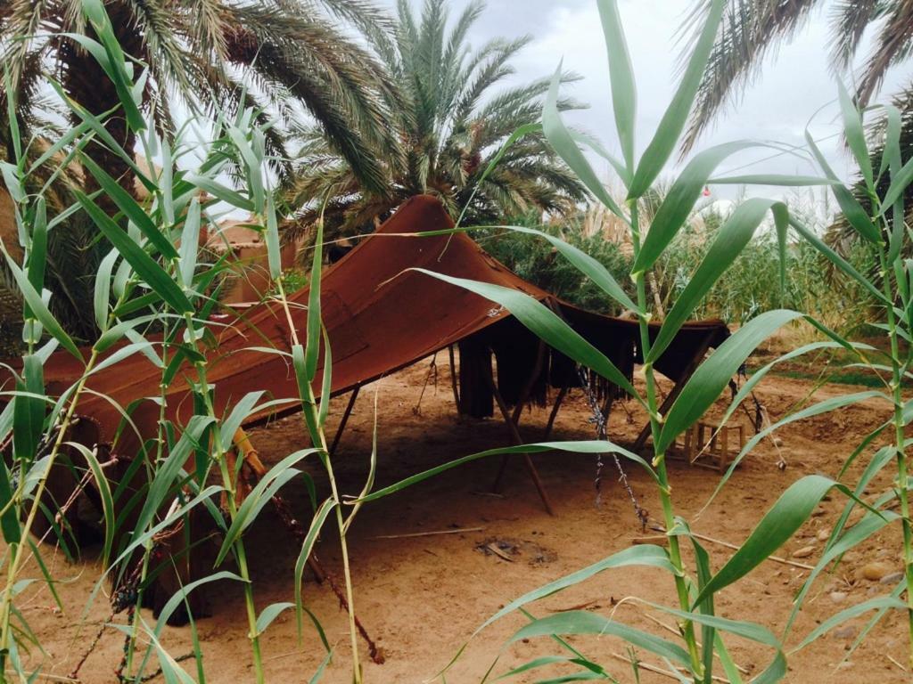 Chez Madani Hotel M'Hamid Bagian luar foto